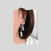 Load image into Gallery viewer, Front Back Earrings - Gemstones (Product ref: E027)