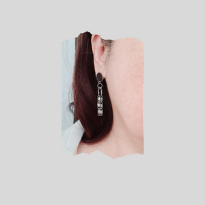 Steel Earrings - (Product ref: E388)